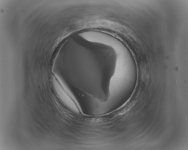 X0000075811497200609221255