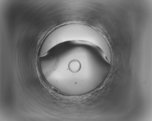 X0000075810001200609291357