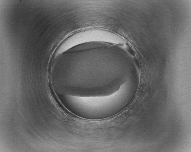 X0000075810002200609291357