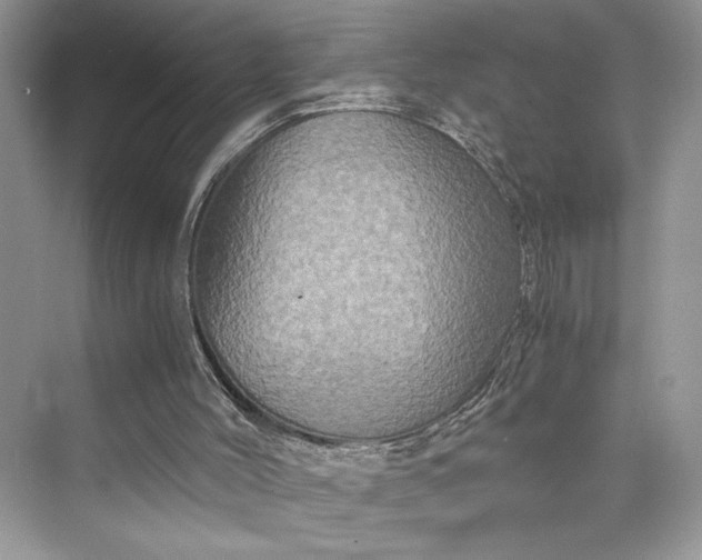 X0000075810004200609291357