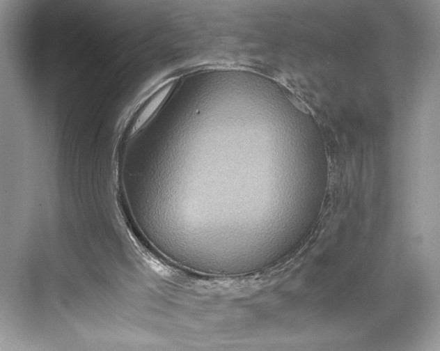 X0000075810005200609291357