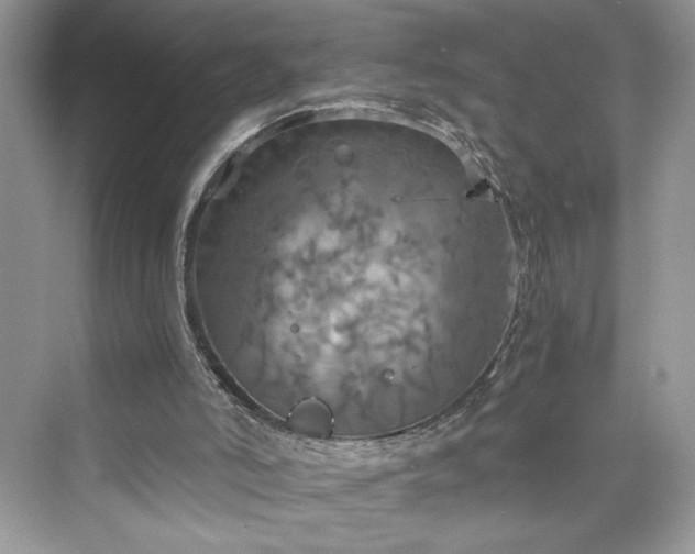 X0000075810006200609291357