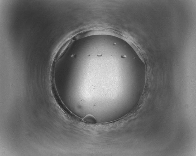 X0000075810007200609291357