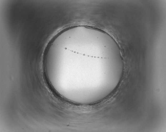 X0000075810008200609291357