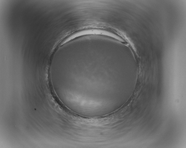 X0000075810010200609291357