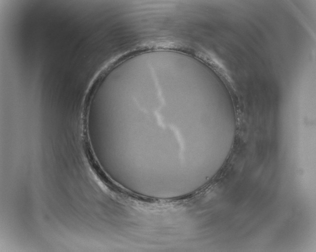 X0000075810012200609291357