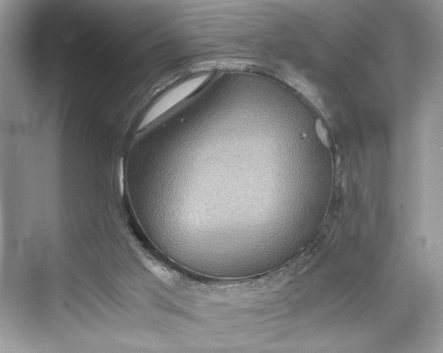 X0000075810013200609291357