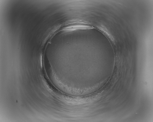 X0000075810014200609291357