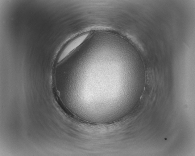 X0000075810015200609291357