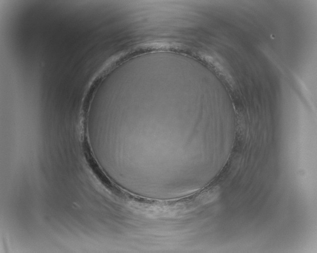 X0000075810016200609291357