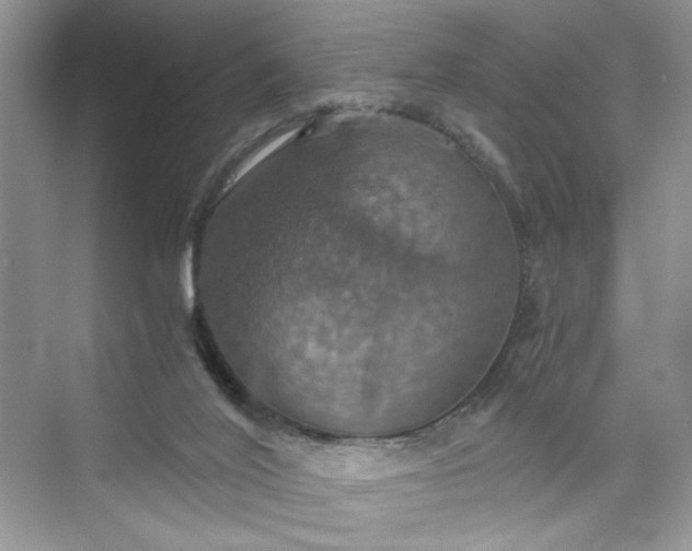 X0000075810020200609291357