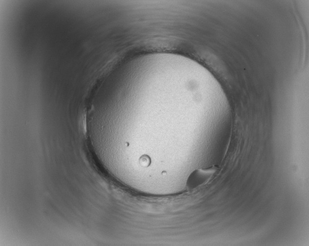 X0000075810021200609291357