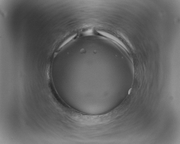 X0000075810023200609291357