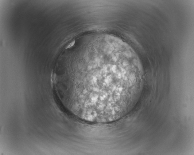 X0000075810024200609291357