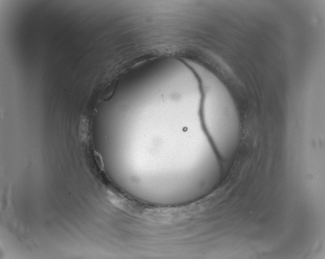 X0000075810025200609291357