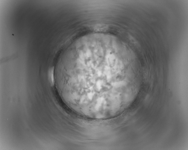 X0000075810028200609291356