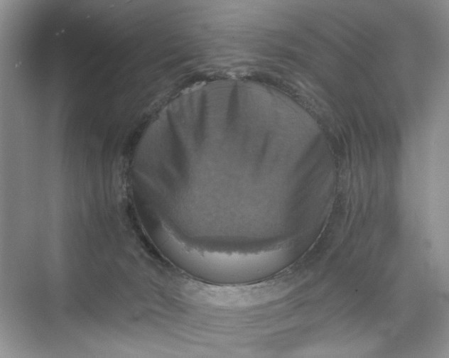 X0000075810030200609291356