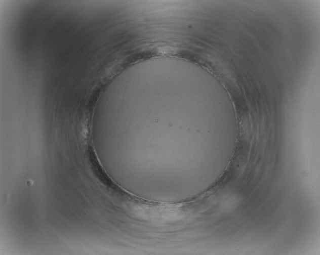 X0000075810032200609291356