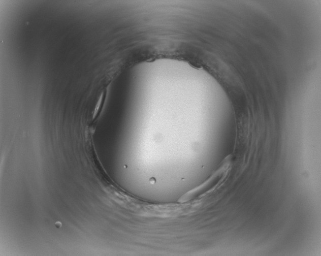 X0000075810033200609291356