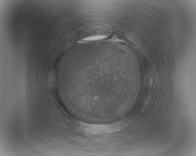 X0000075810034200609291356