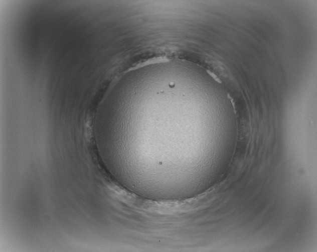 X0000075810037200609291356