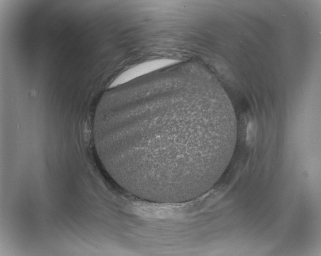 X0000075810040200609291356