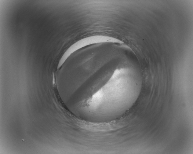 X0000075810042200609291356