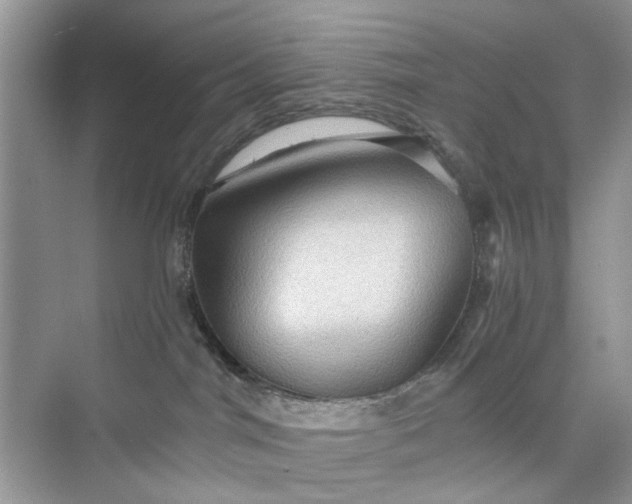 X0000075810044200609291356