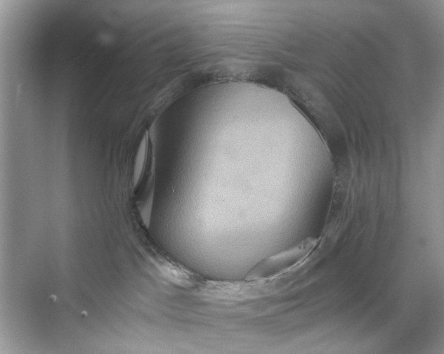 X0000075810045200609291356