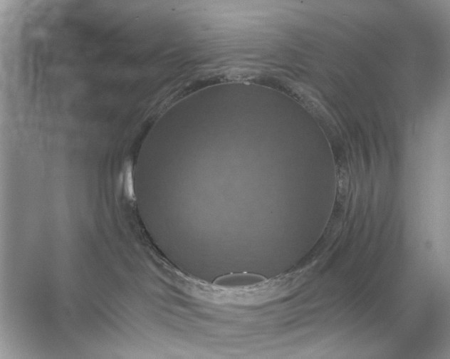 X0000075810046200609291356