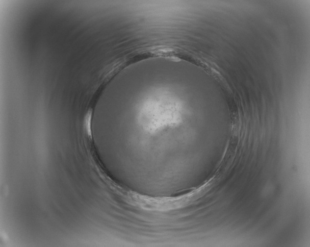 X0000075810047200609291356