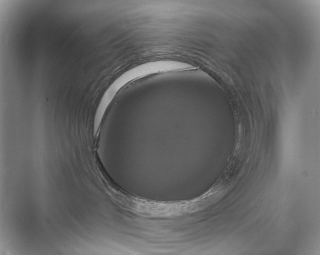 X0000075810048200609291356