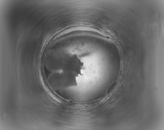 X0000075810049200609291355