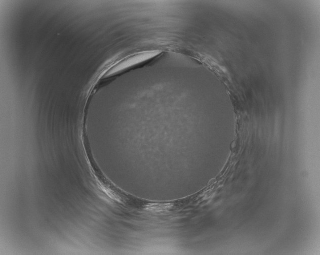 X0000075810051200609291355