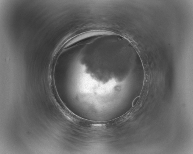 X0000075810053200609291355