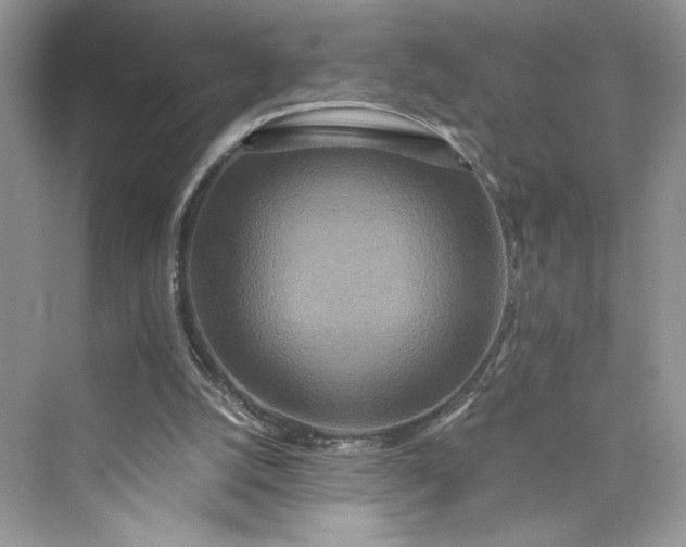 X0000075810056200609291355