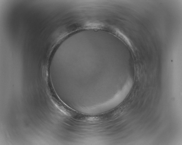 X0000075810059200609291355