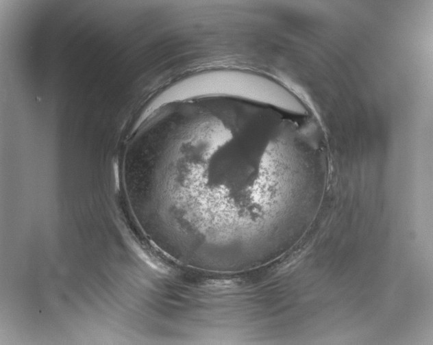 X0000075810061200609291356