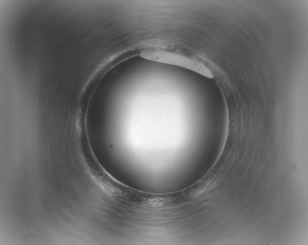 X0000075810064200609291356