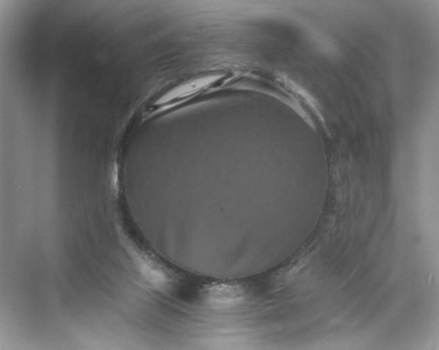 X0000075810067200609291356