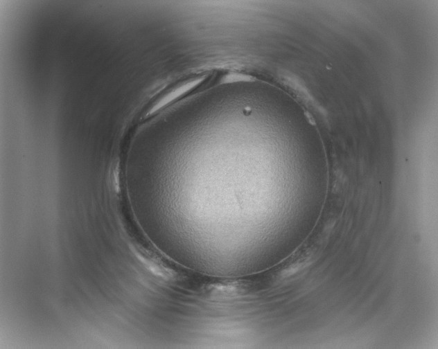 X0000075810068200609291356