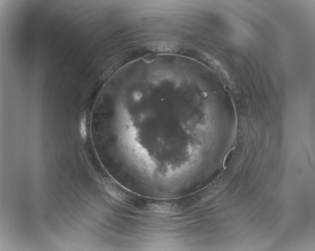 X0000075810069200609291356