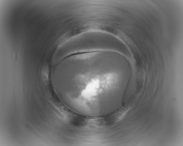 X0000075810072200609291356