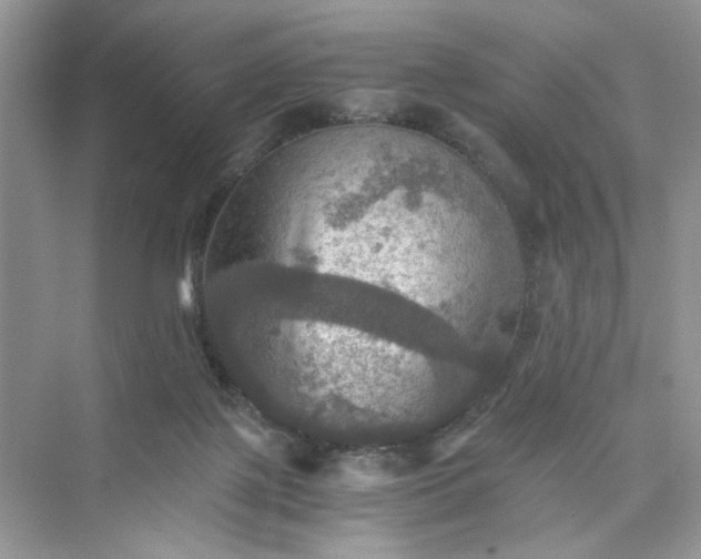 X0000075810075200609291356