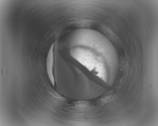 X0000075810077200609291356