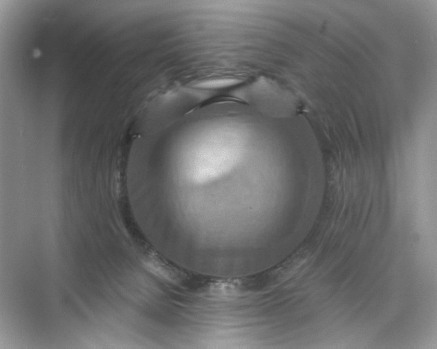 X0000075810080200609291356