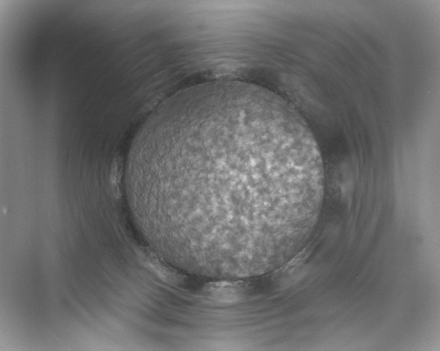 X0000075810082200609291356