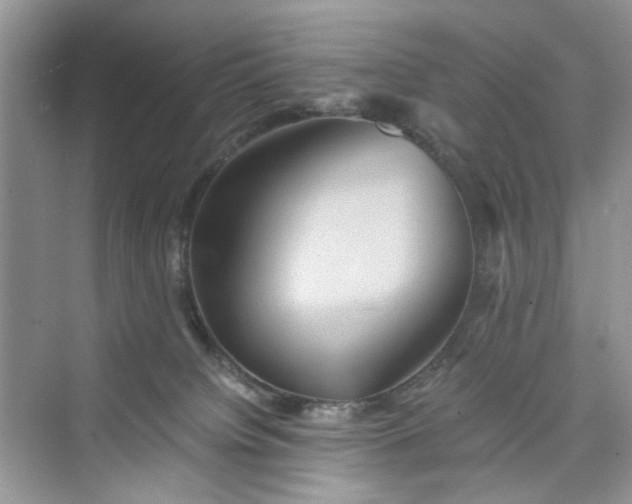 X0000075810084200609291356