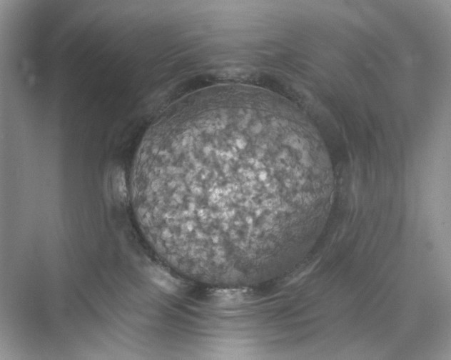 X0000075810089200609291356