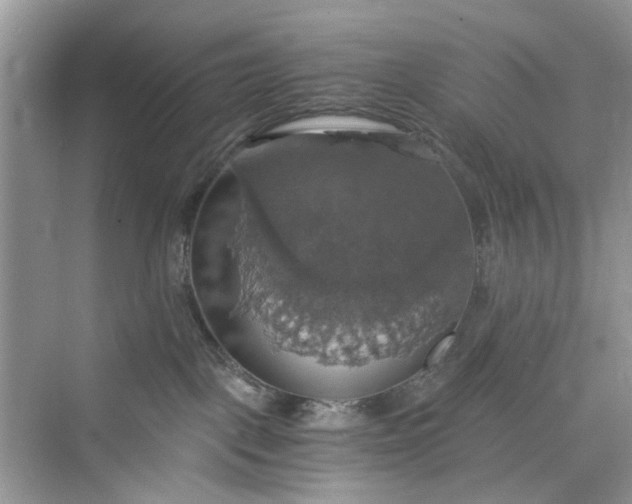 X0000075810093200609291356